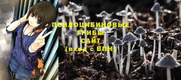 эйфоретик Зарайск