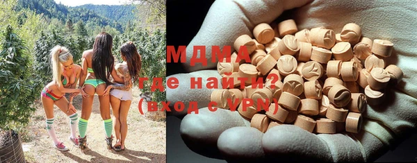 молекула духа Заполярный