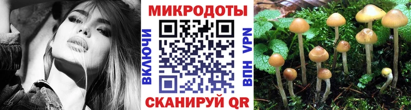 где продают   Сольвычегодск  KRAKEN зеркало  Псилоцибиновые грибы Psilocybe 